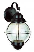 Trans Globe 69904 RBZ - 1 LT LARGE WALL-OUTDOOR-ONION